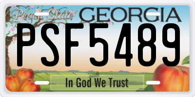 GA license plate PSF5489