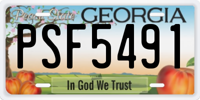GA license plate PSF5491