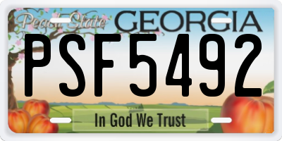 GA license plate PSF5492