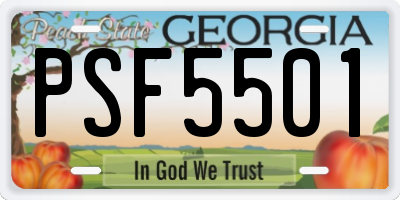 GA license plate PSF5501