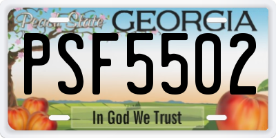 GA license plate PSF5502