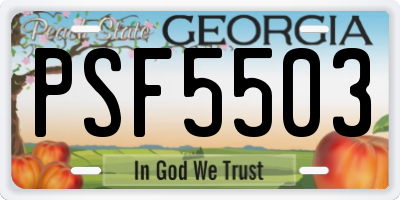 GA license plate PSF5503