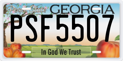 GA license plate PSF5507