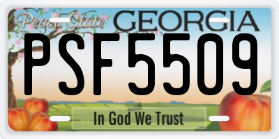 GA license plate PSF5509