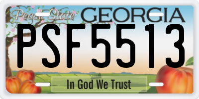 GA license plate PSF5513