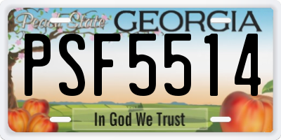 GA license plate PSF5514