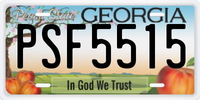 GA license plate PSF5515