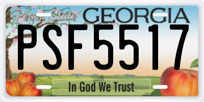 GA license plate PSF5517