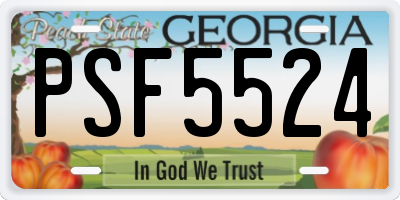GA license plate PSF5524