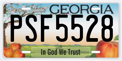 GA license plate PSF5528