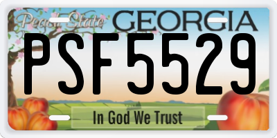 GA license plate PSF5529