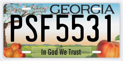 GA license plate PSF5531