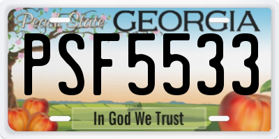 GA license plate PSF5533