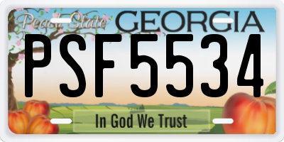 GA license plate PSF5534