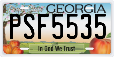 GA license plate PSF5535