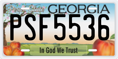 GA license plate PSF5536