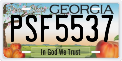 GA license plate PSF5537