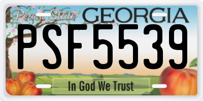 GA license plate PSF5539