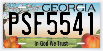 GA license plate PSF5541