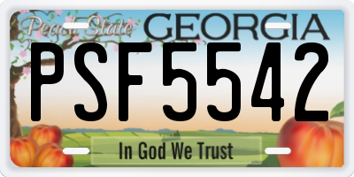 GA license plate PSF5542