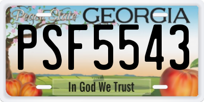 GA license plate PSF5543