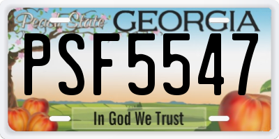 GA license plate PSF5547