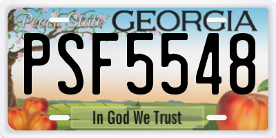 GA license plate PSF5548