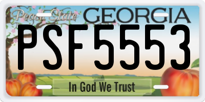 GA license plate PSF5553