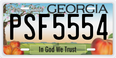 GA license plate PSF5554