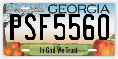 GA license plate PSF5560