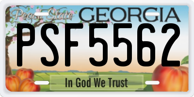 GA license plate PSF5562