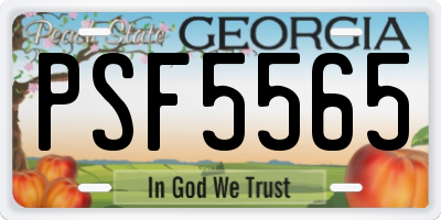 GA license plate PSF5565