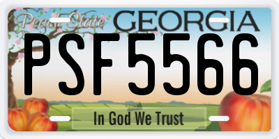 GA license plate PSF5566