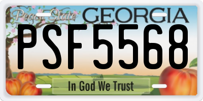 GA license plate PSF5568