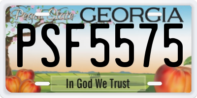 GA license plate PSF5575
