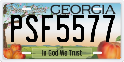 GA license plate PSF5577