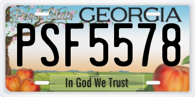 GA license plate PSF5578