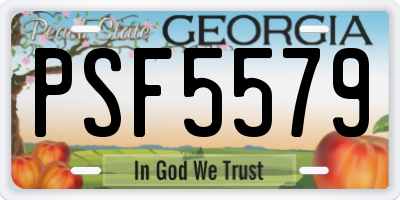 GA license plate PSF5579