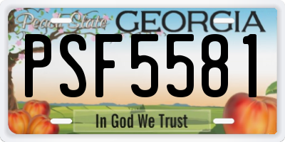 GA license plate PSF5581