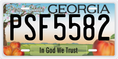 GA license plate PSF5582