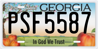 GA license plate PSF5587