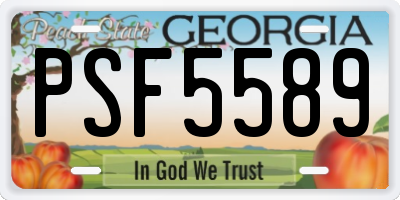GA license plate PSF5589