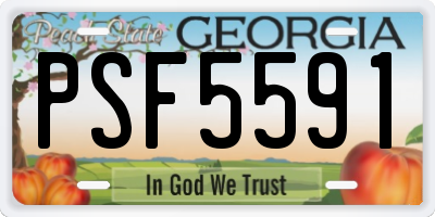 GA license plate PSF5591
