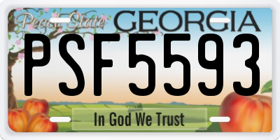 GA license plate PSF5593