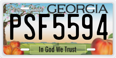 GA license plate PSF5594