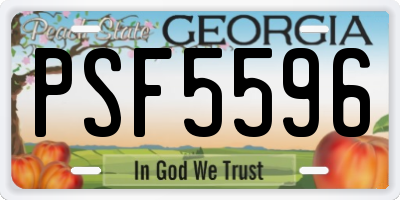 GA license plate PSF5596