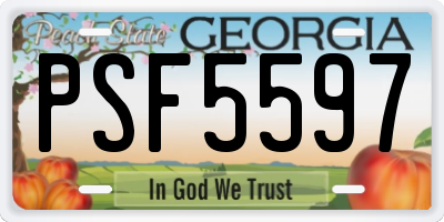 GA license plate PSF5597