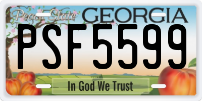 GA license plate PSF5599