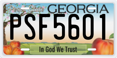GA license plate PSF5601