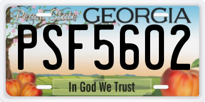 GA license plate PSF5602
